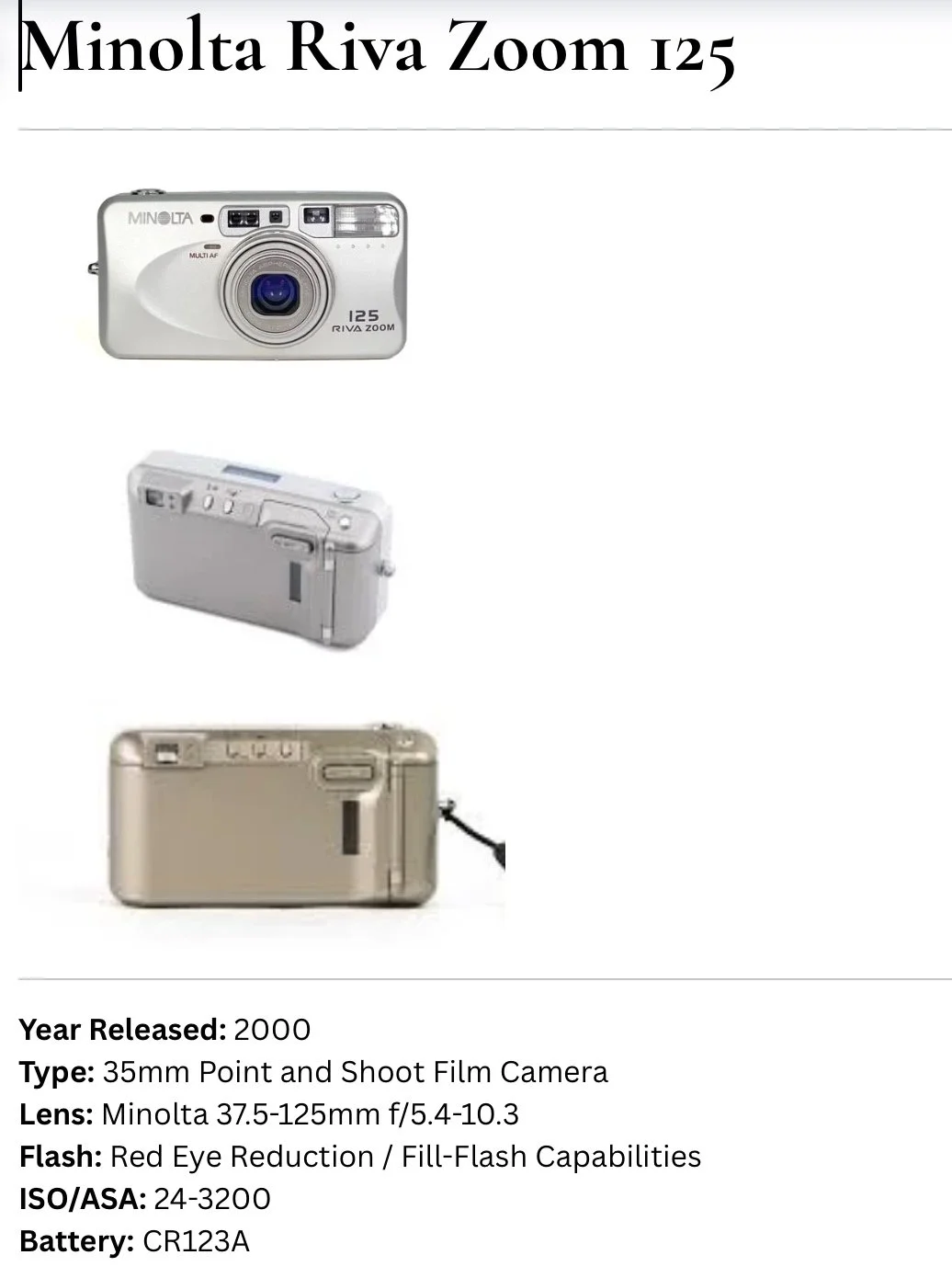 Minolta 125 camera review and Luminar Neo software — FERNS & FEATHERS